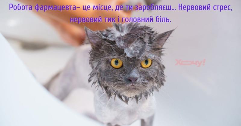 Спостерігаючи з боку, можна помітити, що син аптекаря найактивніше рухається на танцполі: жартівливі історії, курйози та меми про фармацевтів - Hochu.ua.