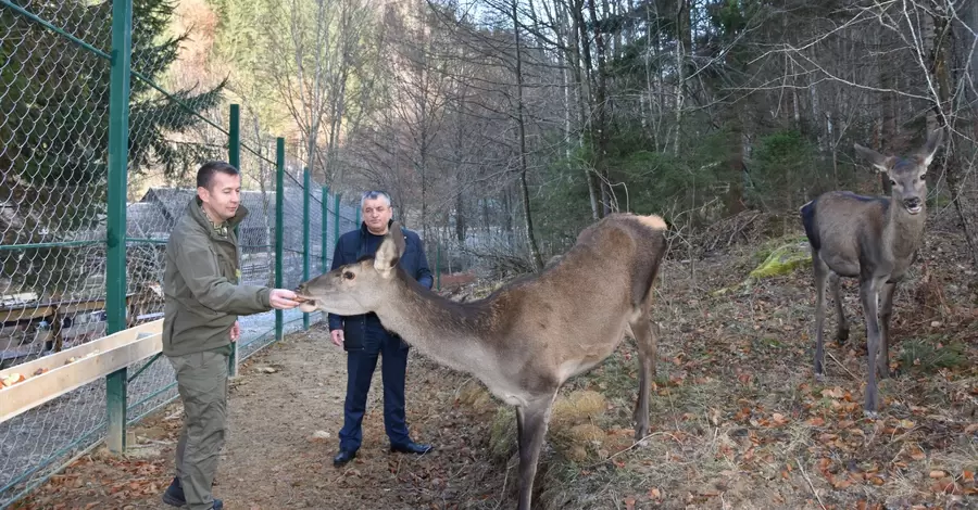 У Національному парку 