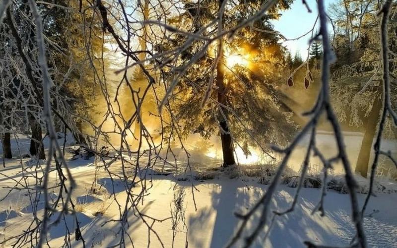 Яке свято святкують в Україні 6 березня - День пенсіонера.