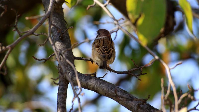 9 листопада: Яке свято відзначається сьогодні, вся інформація про цей день