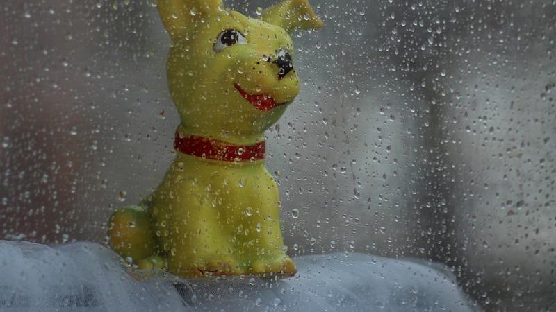 10 листопада: Яке святкування відбувається сьогодні, деталі про цей день.