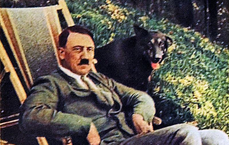 ДНК Адольфа Гітлера відкрила нові медичні загадки і вразила наукове співтовариство: що ж насправді приховував цей диктатор?