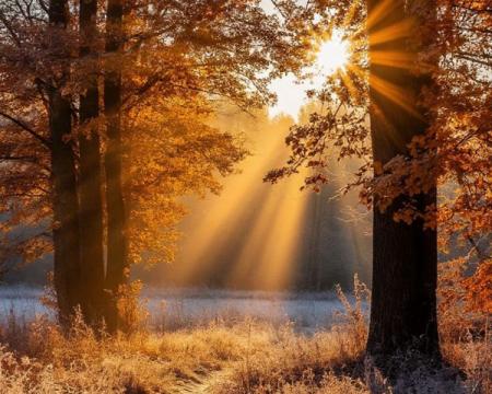 Сьогодні зверніть увагу на свої внутрішні відчуття: знаки цього дня.