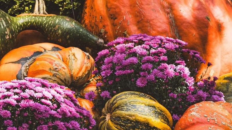 16 листопада: Яке свято відзначається сьогодні та цікаві факти про цей день.