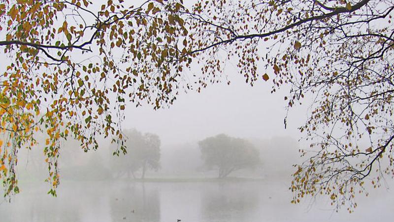 3 грудня: Що за свято сьогодні, всі деталі про цей день