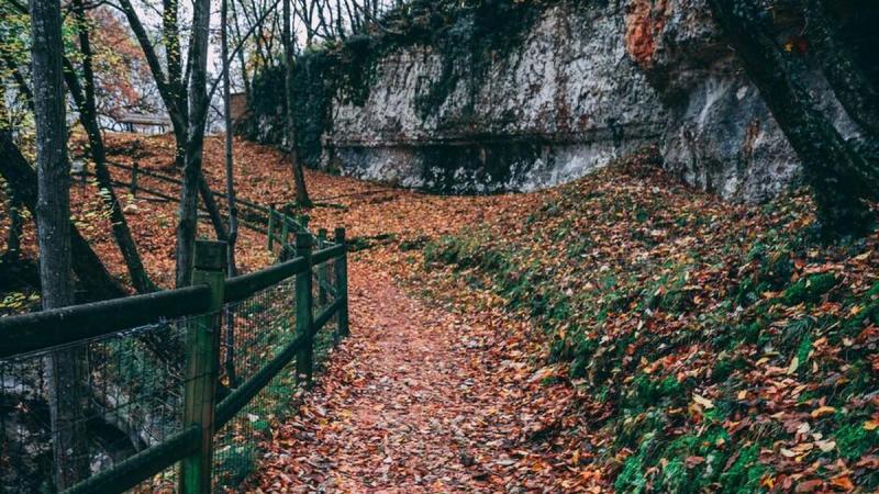 5 грудня: Яке святкування сьогодні? Усе про цей день.