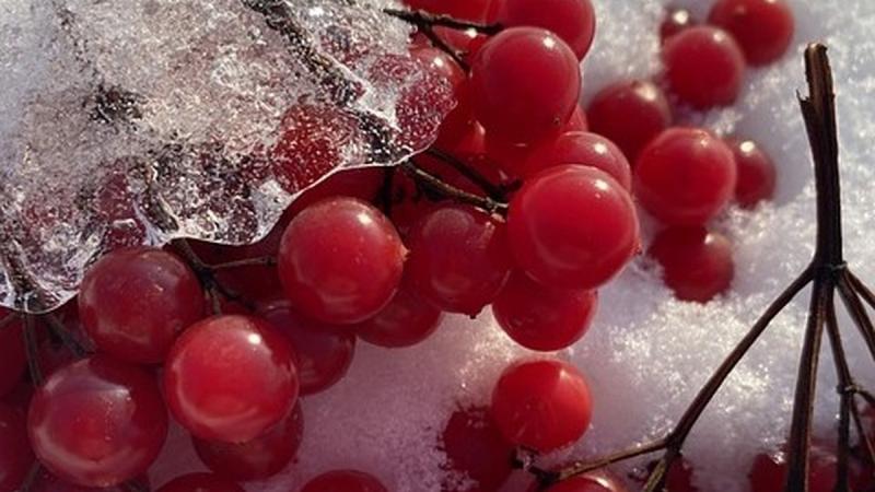 7 січня: Які події відзначаються сьогодні, все про цей день.