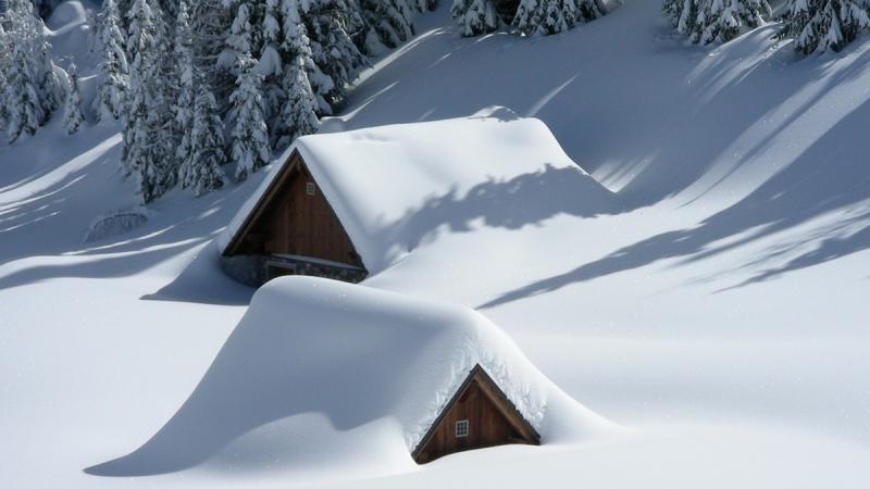 20 січня: Яке свято відзначається сьогодні, усі деталі про цей день.