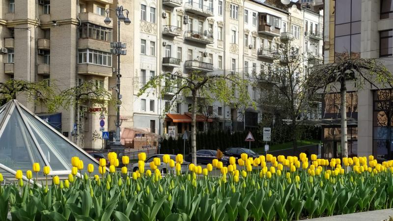Петиція, що закликала заборонити розміщення релігійних символів на Хрещатику та Майдані Незалежності, не змогла зібрати достатню кількість голосів.