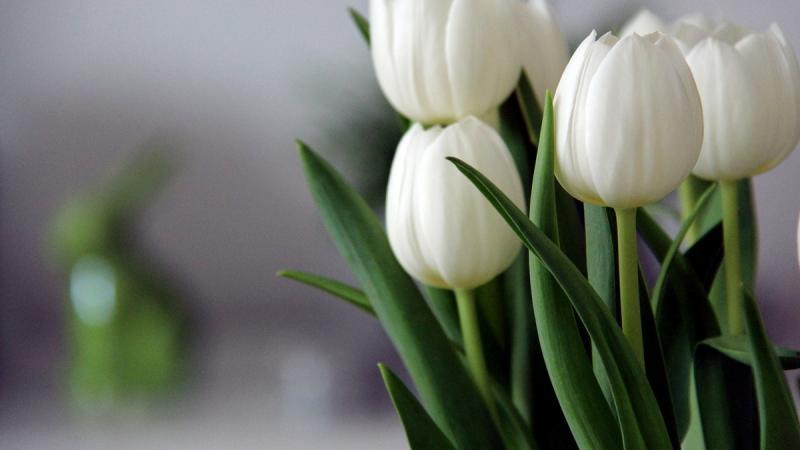 1 квітня: Яке свято відзначається сьогодні, всі деталі про цей день.