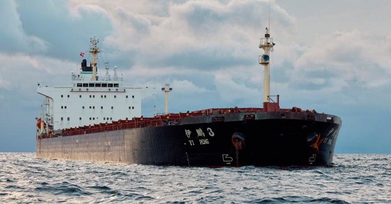 В Ізраїль доставили ще один корабель з викраденим українським зерном.