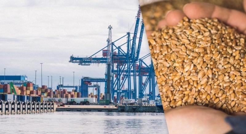 В Україні почали обговорювати можливі наслідки для Ізраїлю у зв'язку з краденим зерном, повідомляє журналіст Axios.