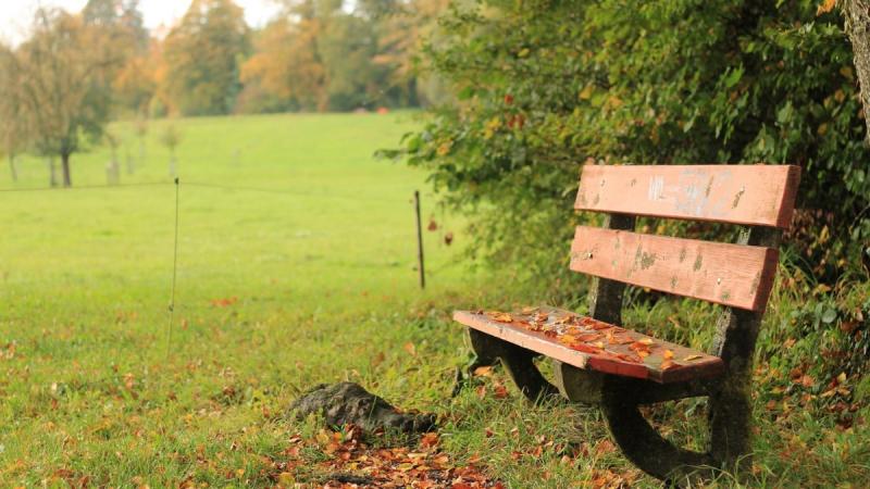 23 вересня: Які події відзначаються сьогодні, усе про цей день.