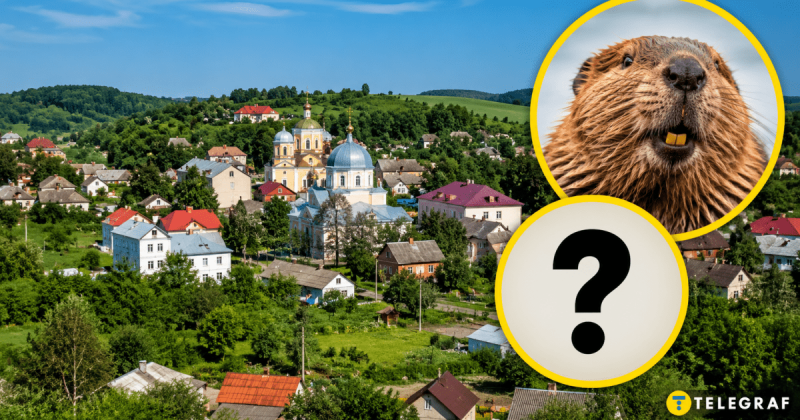 В Україні існує місто бобрів, яке відвідував Іван Франко: як до нього дістатися (карта та світлини)
